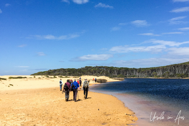 Walkers on the beach between Bournda Beach between Bournda Lagoon, Australia