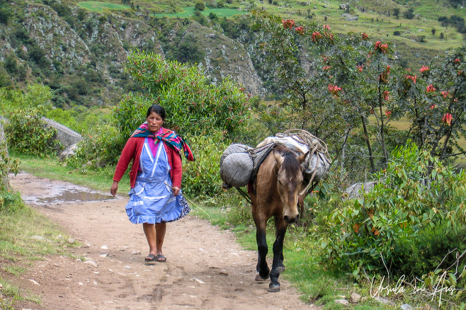 A Quechuan woman walking beside a pony, Inca Trail, Peru