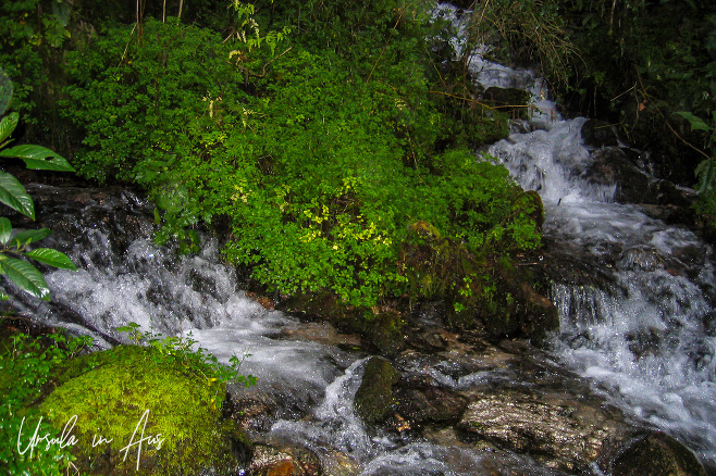 Rushing water and mossy logs on the Inca Trail, Peru