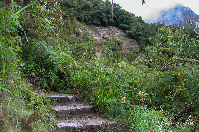 Stone steps from Aguas Calientes up to Machu Picchu, Peru