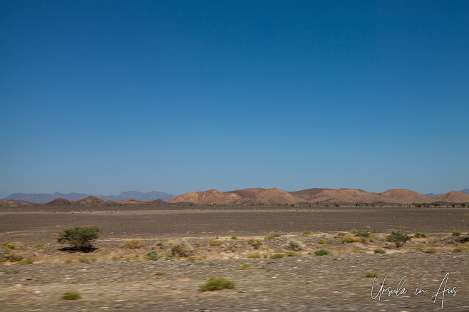 Flat desert landscape, central Oman