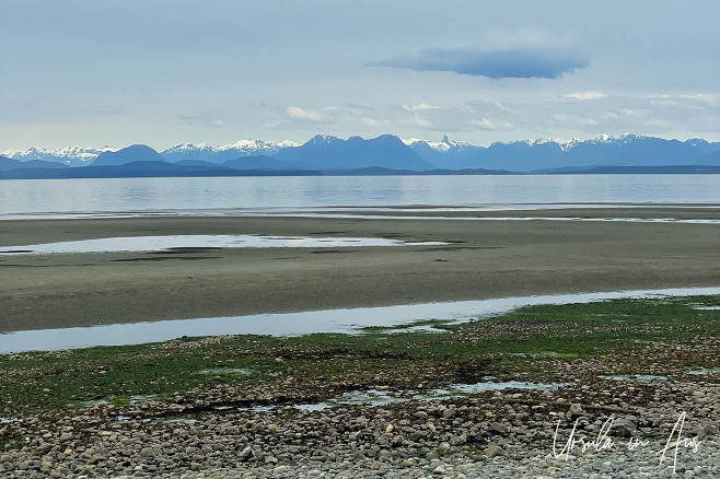 Low tide looking east over Oyster Bay, BC Canada