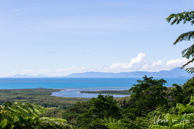 Overlooking the mouth of the Daintree River from Walu Wugirriga Lookout, Cape Tribulation Queensland Australia