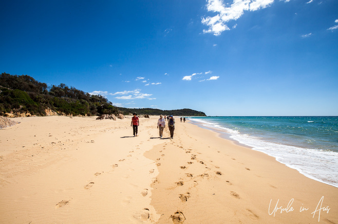 Walkers on Middle Beach in Mimosa Rocks National Park, NSW Australia