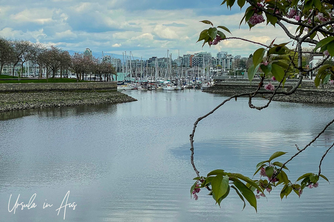 View across False Creek from Fairview, Vancouver BC Canada