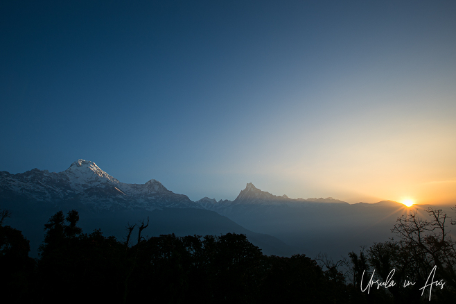 Sunrise view of Annapurna South and Machapuchare from Tadapani Nepal.