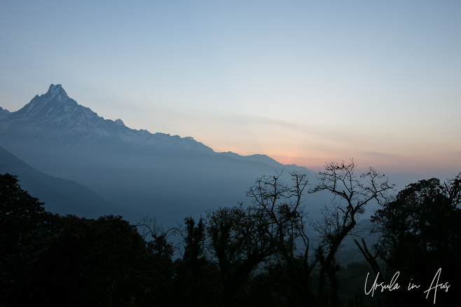 Sunrise view of Machapuchare from Tadapani Nepal.