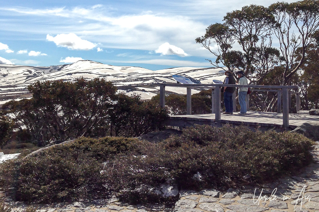 Looking over the Main Range from the Snow Gums boardwalk, Charlotte Pass, Australia