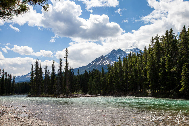 Landscape: The Bow River at Lake Louise, Banff National Park, Canada