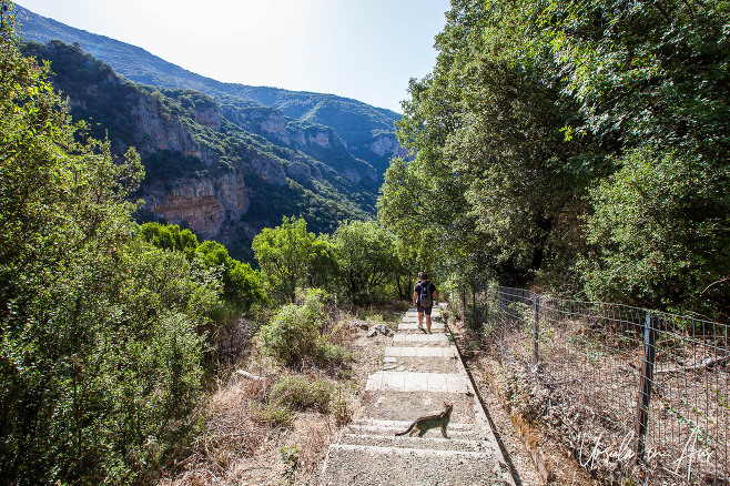 Stairs on the mountainside below the Filosofou Monastery, Dimitsana Greece