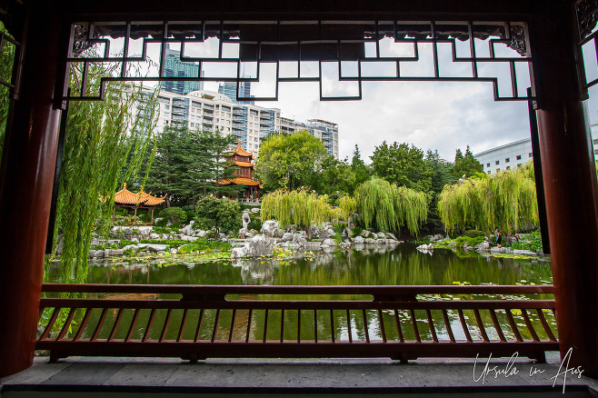 View out of the Water Pavilion of Lotus Fragrance in the Chinese Garden of Friendship, Darling Harbour Sydney Australia.