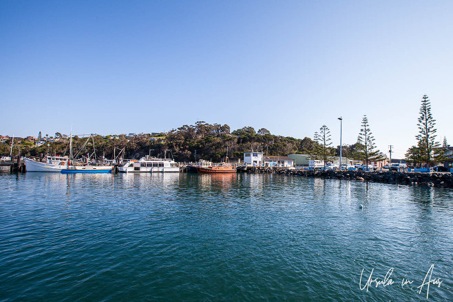 View of boats docked in Eden Harbour, NSW Australia