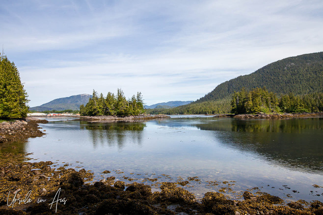 Island in Morse Basin, Butze Rapids Trail, Prince Rupert Canada