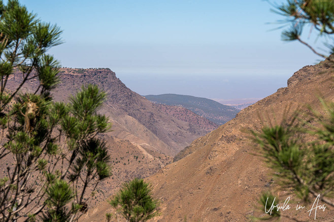 Looking through a pine tree over the Imlil Valley in the High Atlas Mountains, Morocco