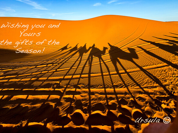 Long shadows of a camel train in the Sahara sand, Erg Chebb, Morocco with Seasons Greetings text.