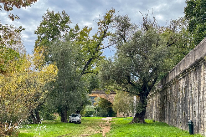 Wet green walkway along the Lot River, Cahors France